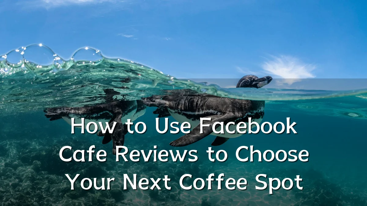 How to Use Facebook Cafe Reviews to Choose Your Next Coffee Spot