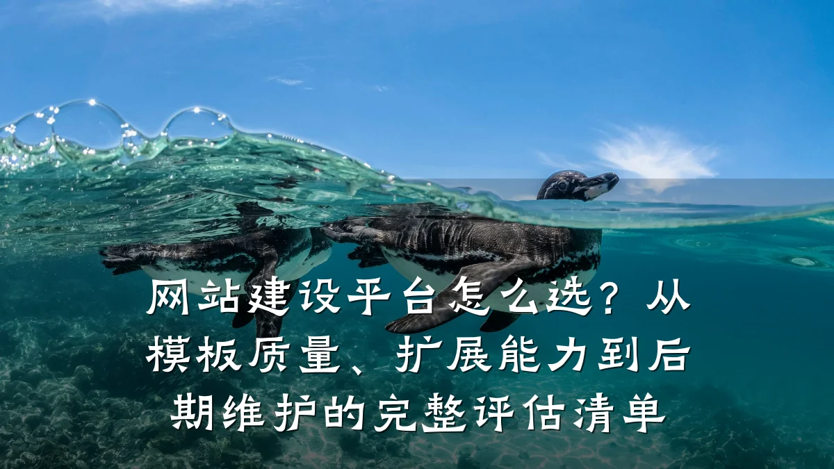 网站建设平台怎么选?从模板质量、扩展能力到后期维护的完整评估清单
