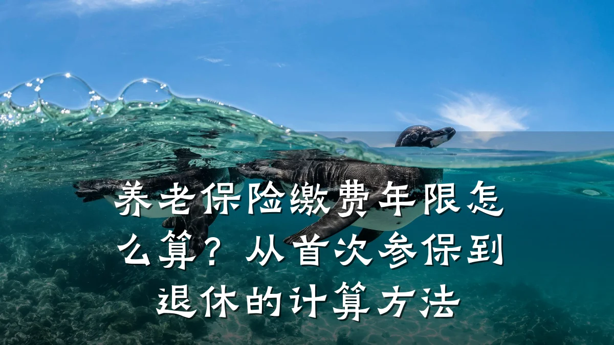 养老保险缴费年限怎么算?从首次参保到退休的计算方法