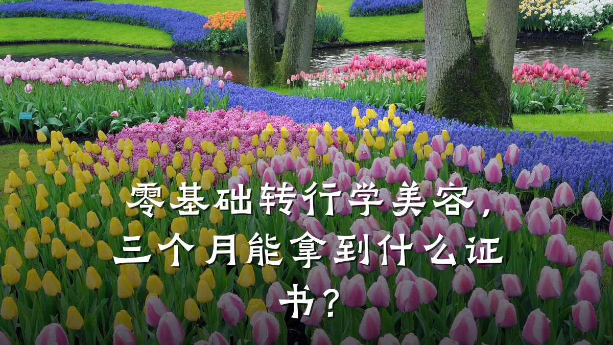 零基础转行学美容,三个月能拿到什么证书?