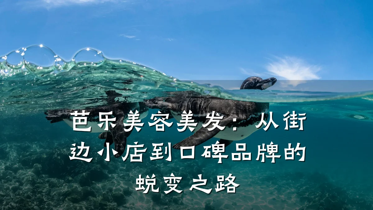 芭乐美容美发:从街边小店到口碑品牌的蜕变之路