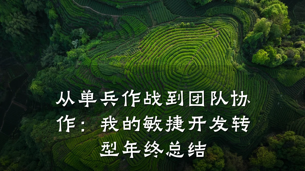 从单兵作战到团队协作:我的敏捷开发转型年终总结