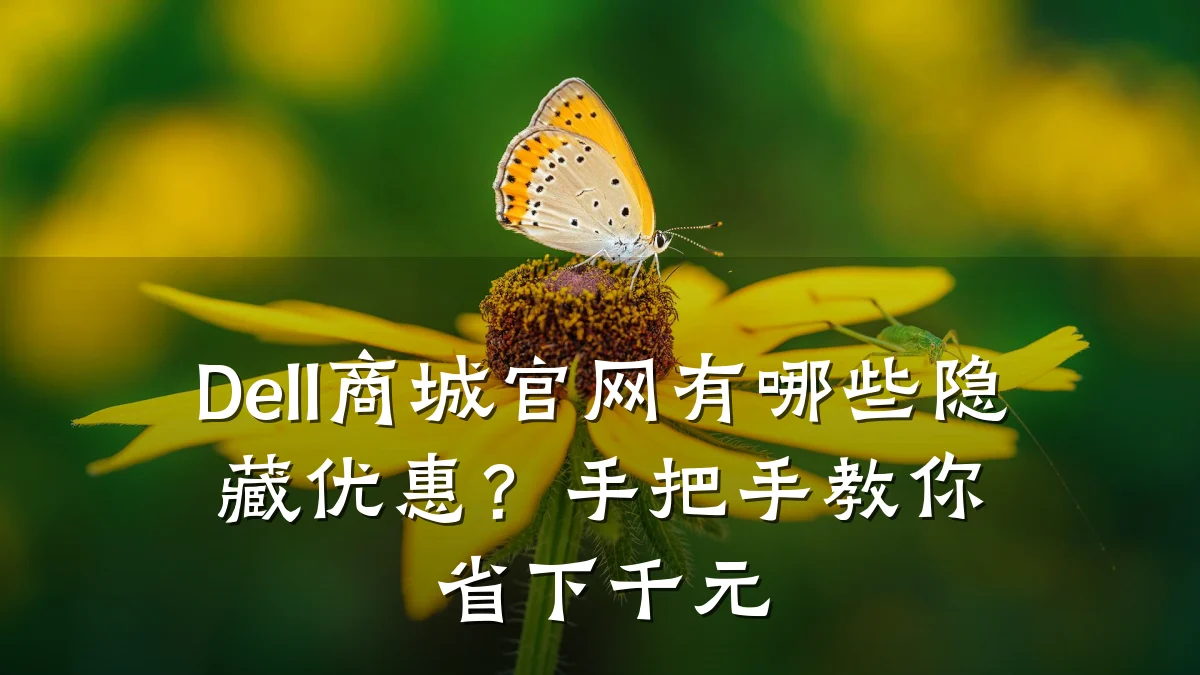 Dell商城官网有哪些隐藏优惠?手把手教你省下千元