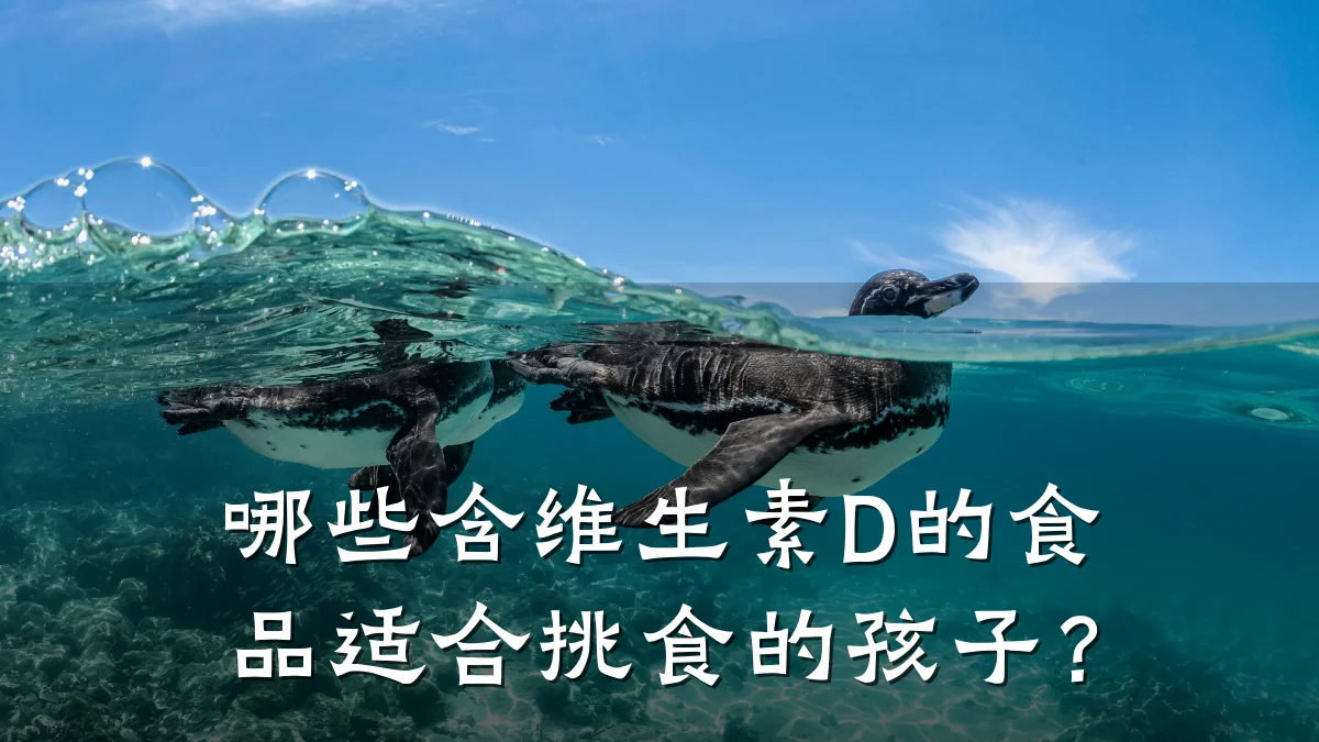 哪些含维生素D的食品适合挑食的孩子?