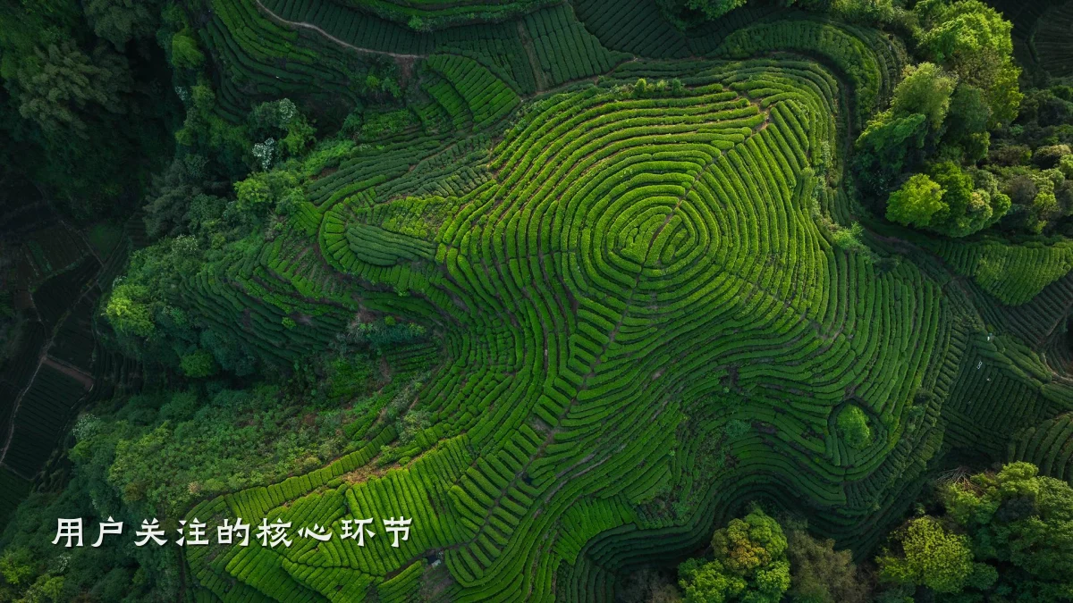 用户关注的核心环节