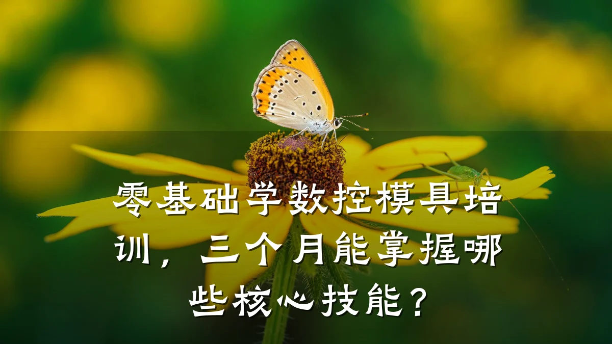 零基础学数控模具培训,三个月能掌握哪些核心技能?