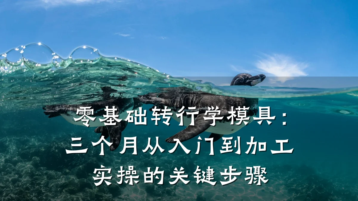 零基础转行学模具：三个月从入门到加工实操的关键步骤