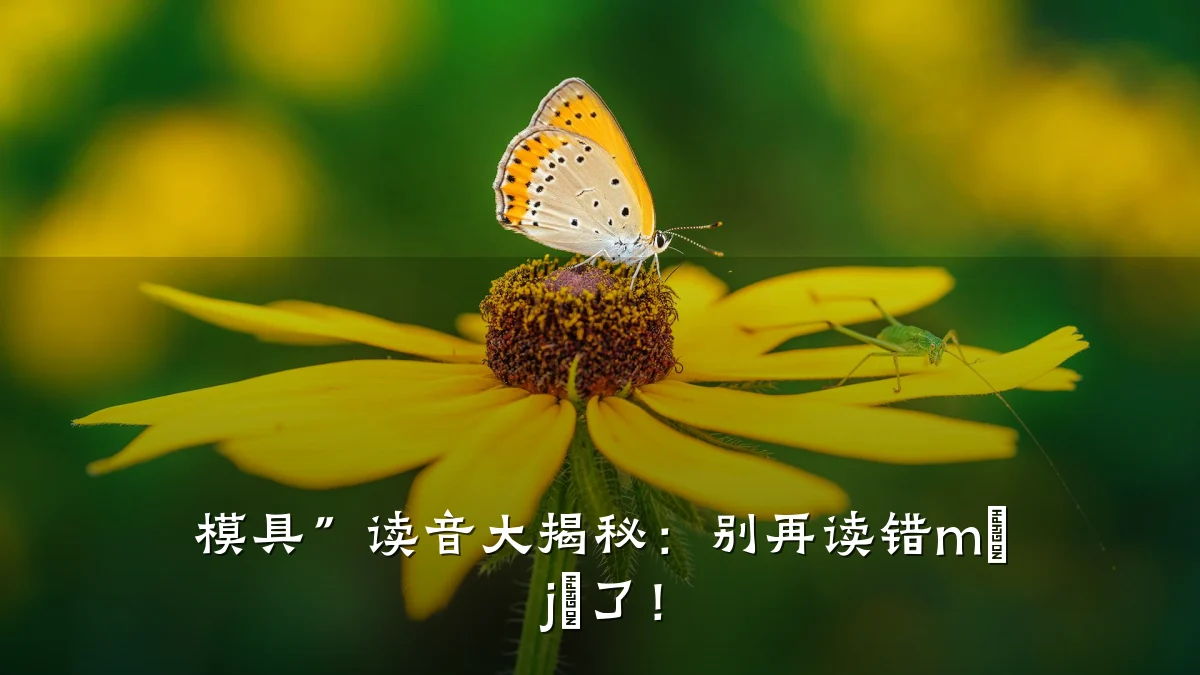 模具”读音大揭秘:别再读错mó jù了!
