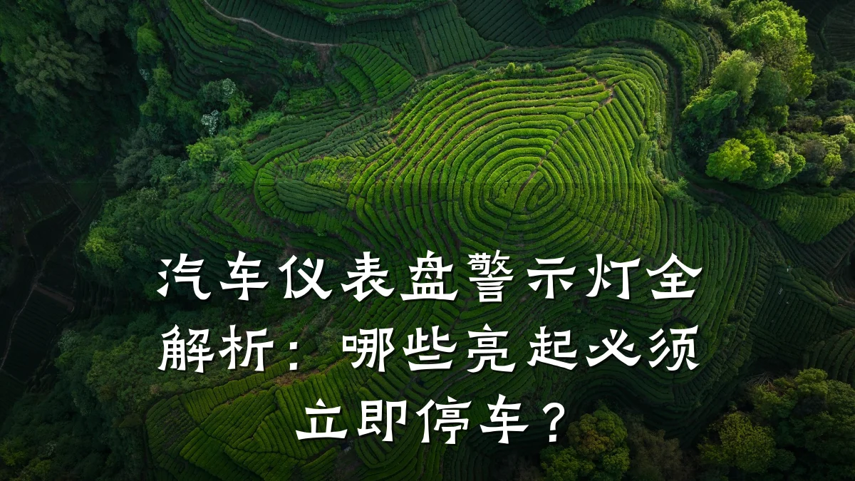 汽车仪表盘警示灯全解析：哪些亮起必须立即停车？