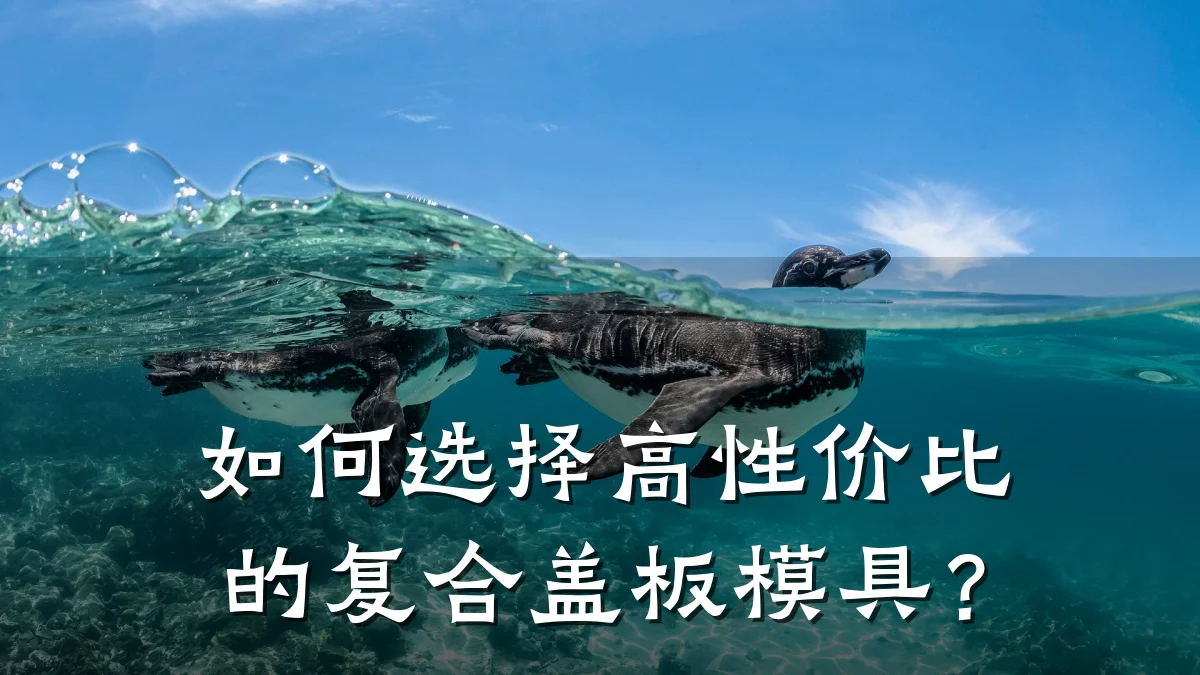如何选择高性价比的复合盖板模具？