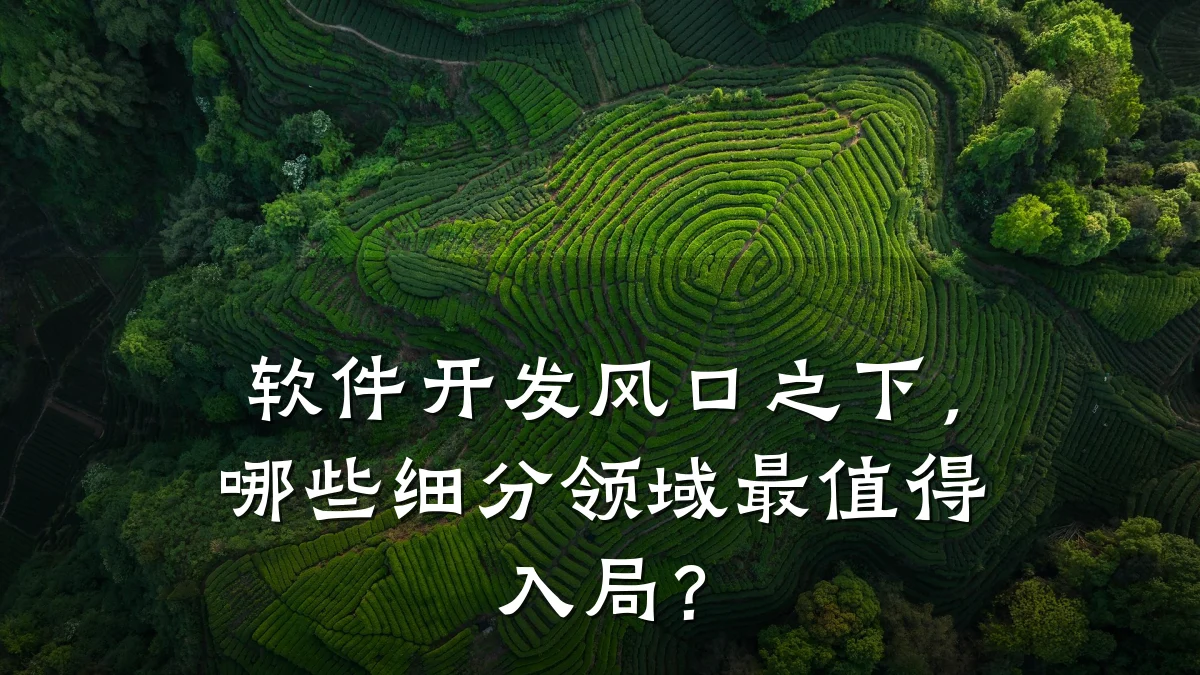 软件开发风口之下,哪些细分领域最值得入局?