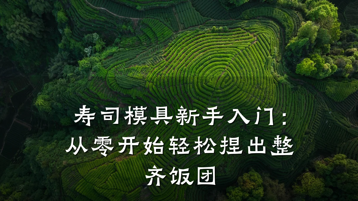 寿司模具新手入门：从零开始轻松捏出整齐饭团