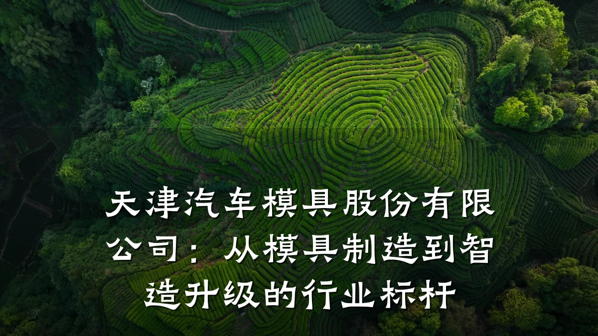 天津汽车模具股份有限公司:从模具制造到智造升级的行业标杆