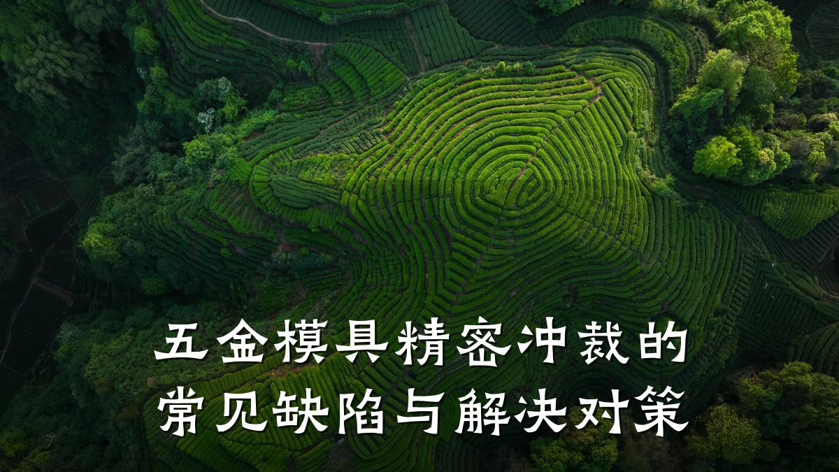 五金模具精密冲裁的常见缺陷与解决对策