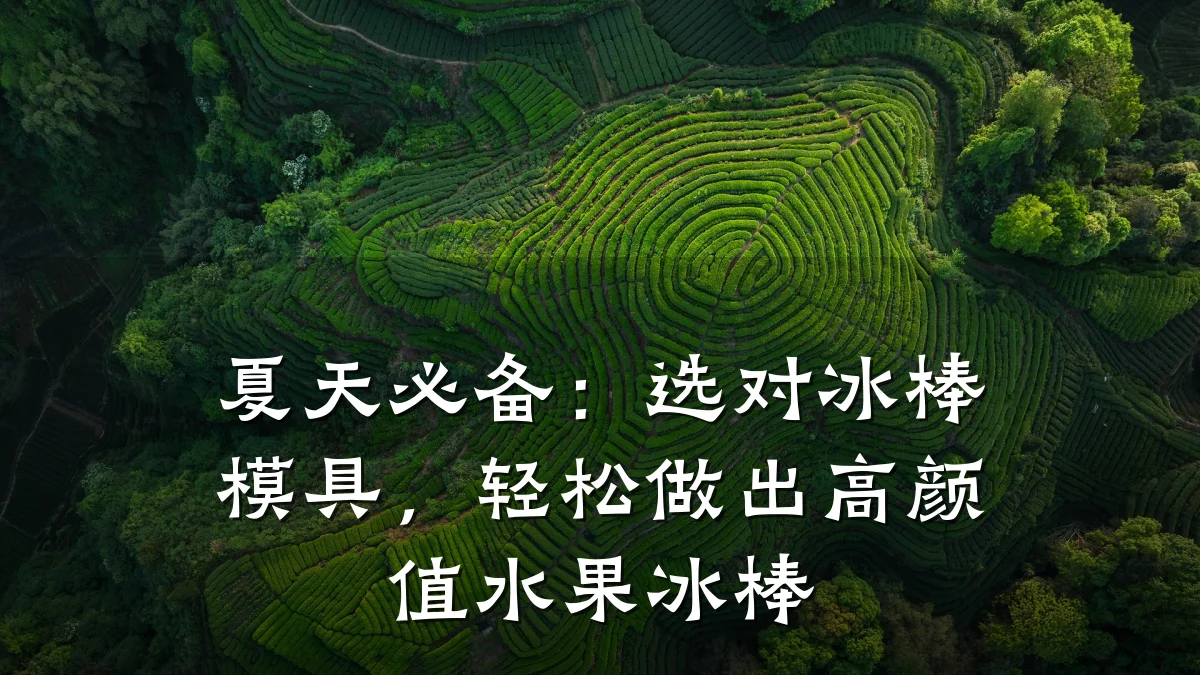 夏天必备:选对冰棒模具,轻松做出高颜值水果冰棒