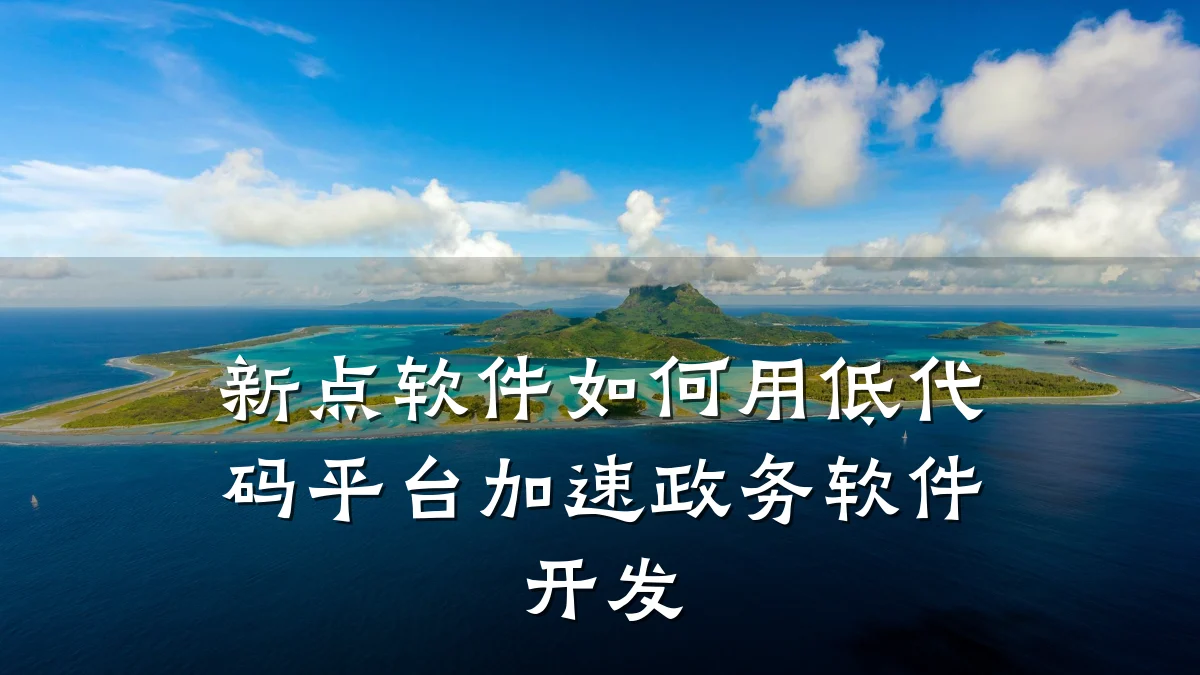 新点软件如何用低代码平台加速政务软件开发