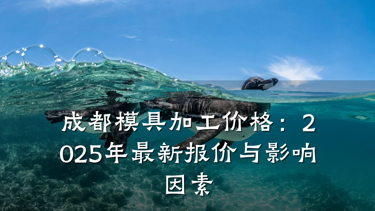成都模具加工价格:2025年最新报价与影响因素