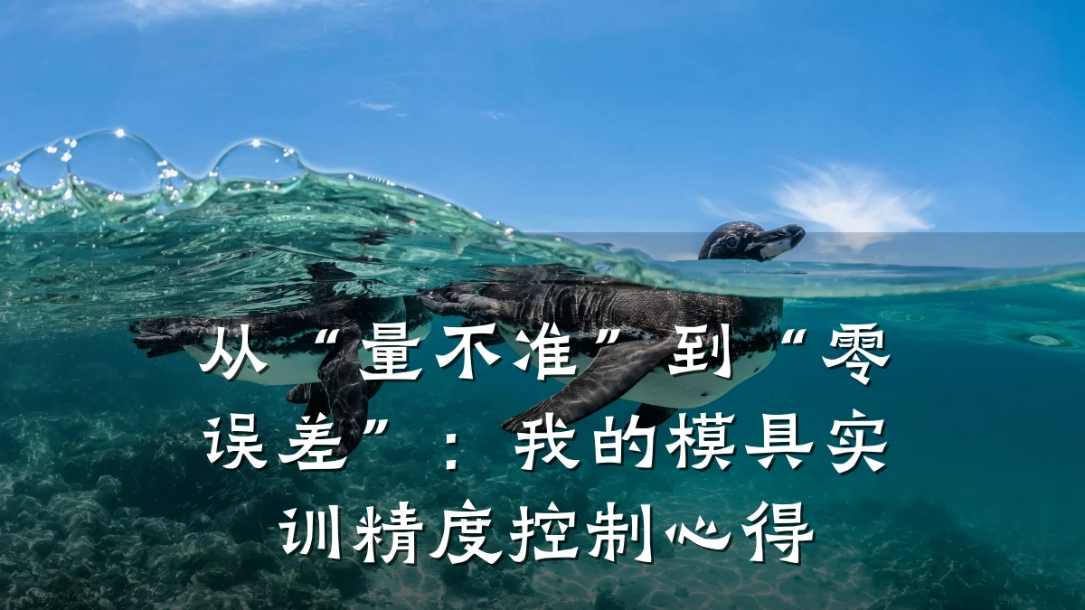 从“量不准”到“零误差”:我的模具实训精度控制心得