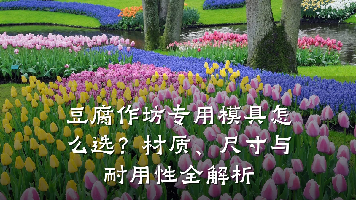 豆腐作坊专用模具怎么选?材质、尺寸与耐用性全解析