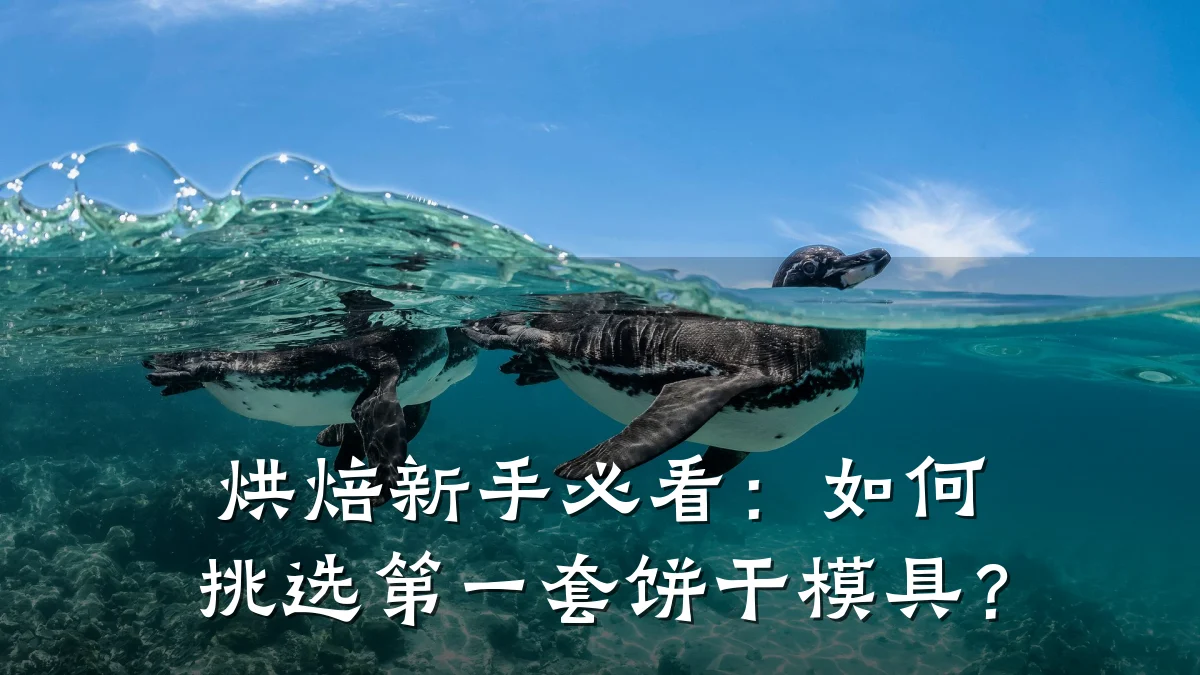 烘焙新手必看:如何挑选第一套饼干模具?
