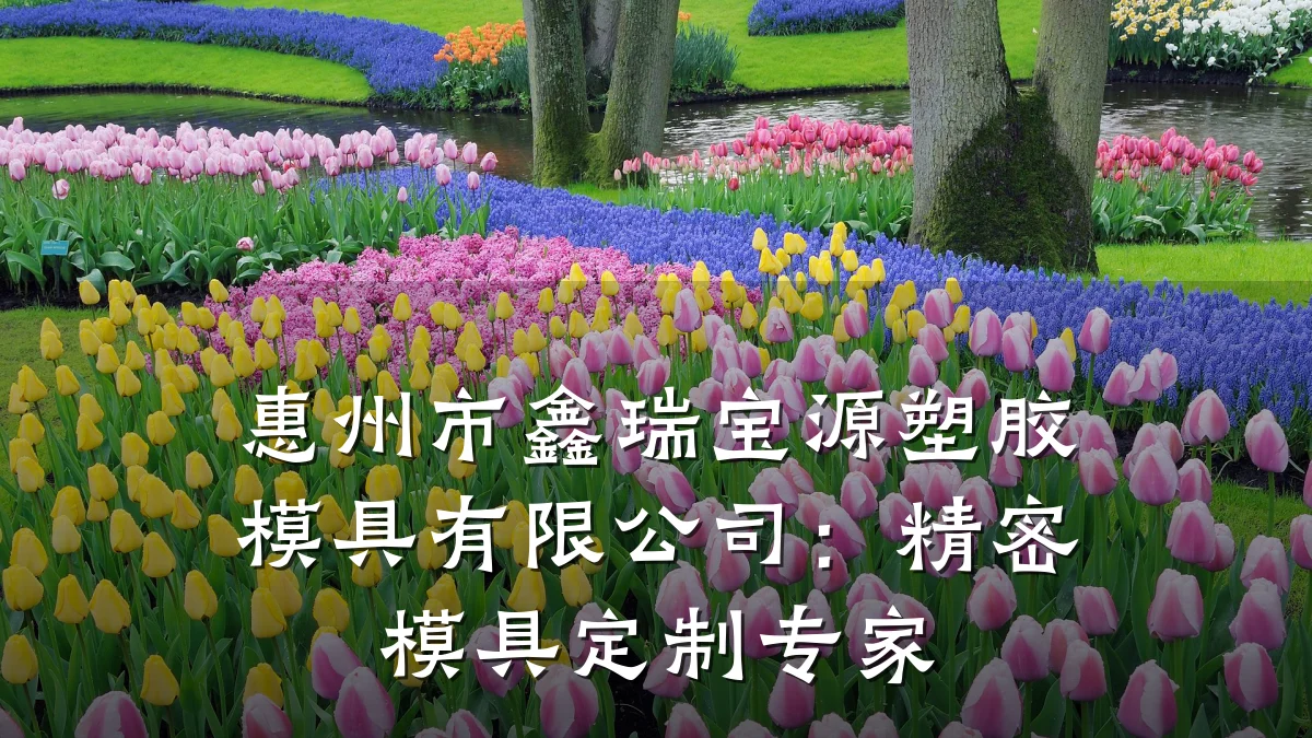 惠州市鑫瑞宝源塑胶模具有限公司：精密模具定制专家