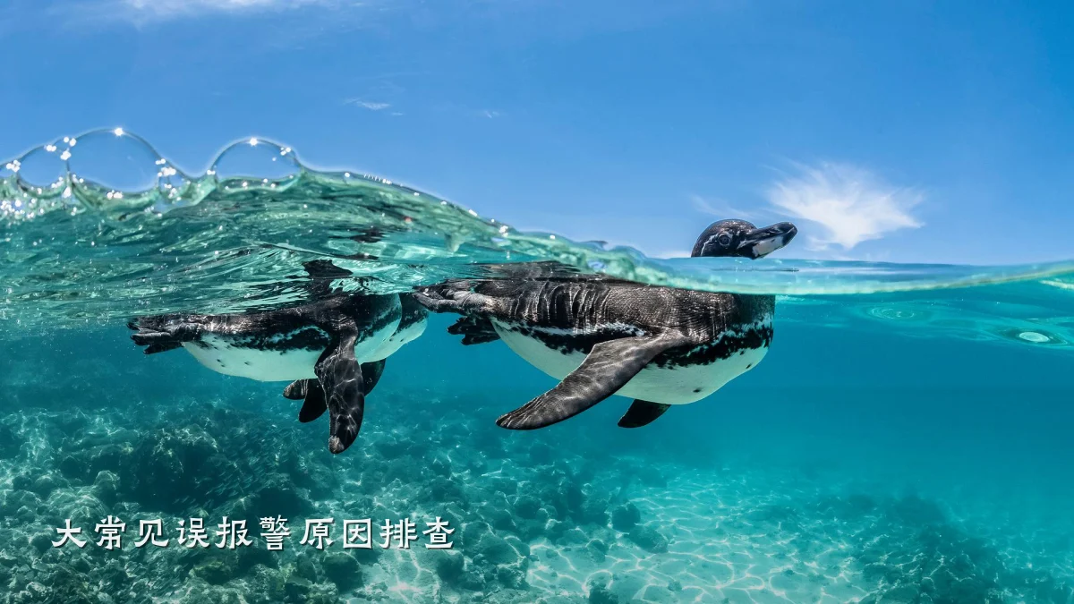 大常见误报警原因排查