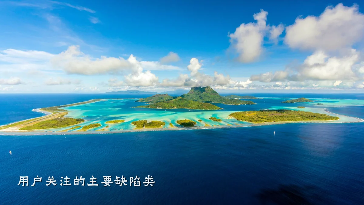 用户关注的主要缺陷类