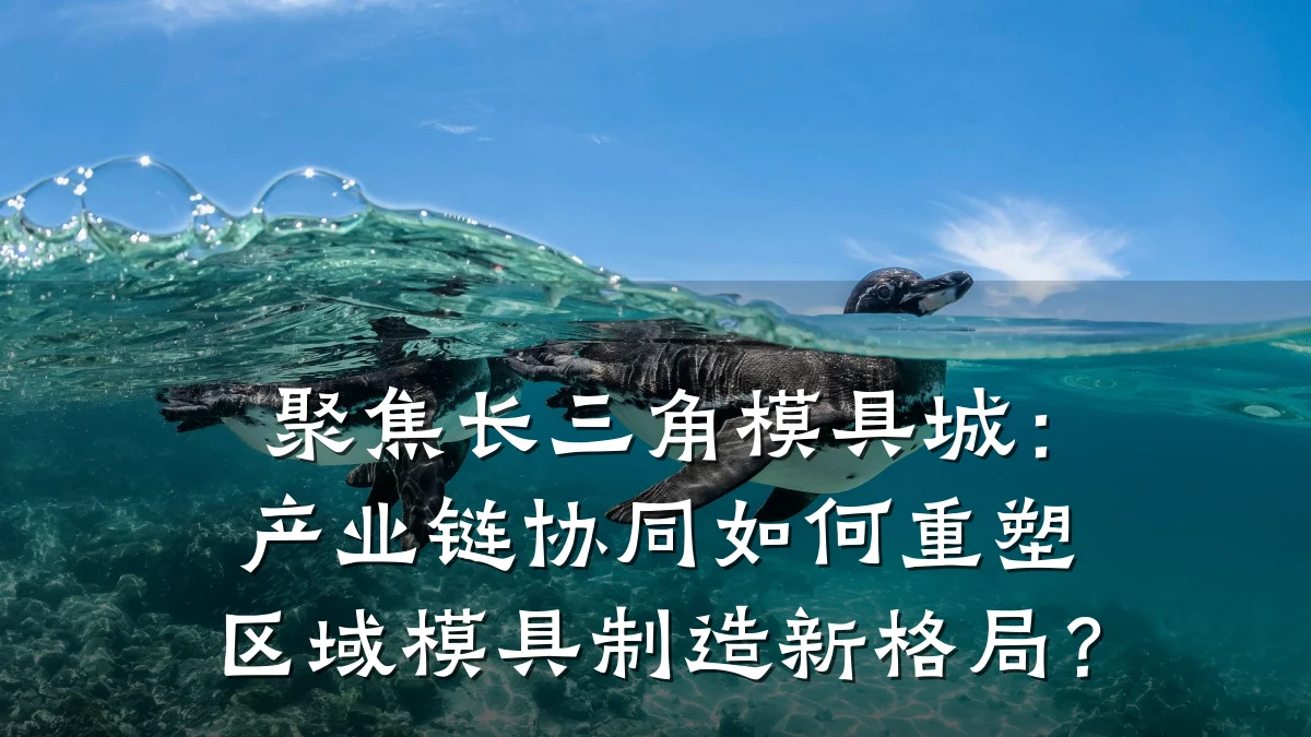 聚焦长三角模具城:产业链协同如何重塑区域模具制造新格局?