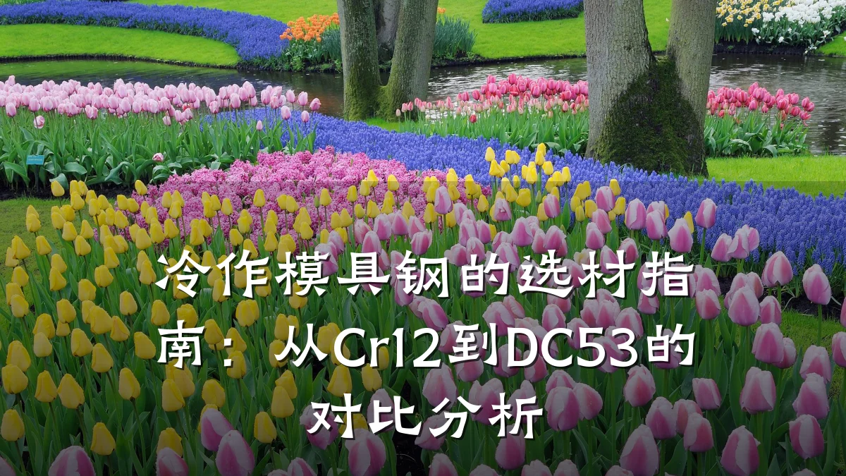 冷作模具钢的选材指南:从Cr12到DC53的对比分析