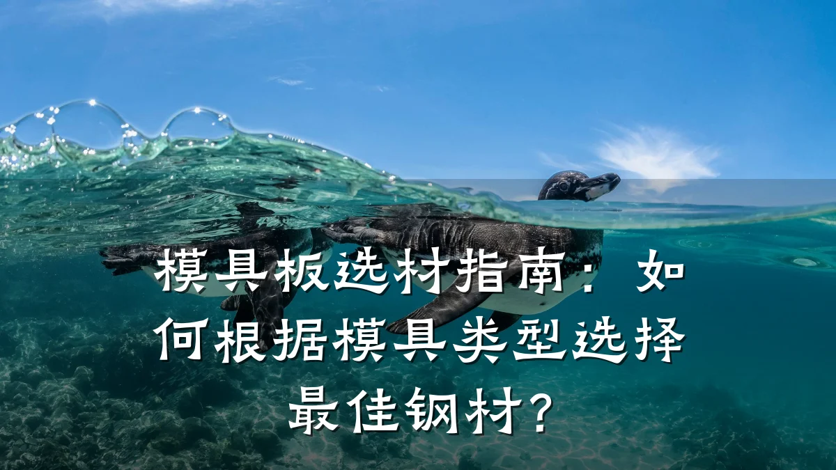 模具板选材指南:如何根据模具类型选择最佳钢材?