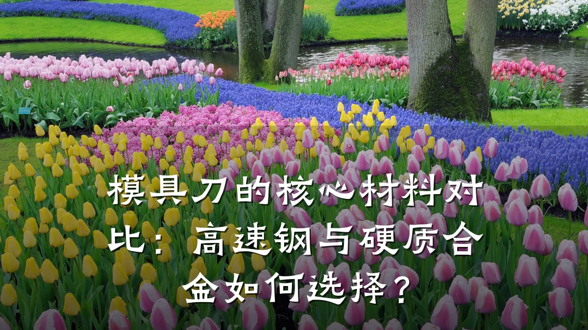 模具刀的核心材料对比:高速钢与硬质合金如何选择?