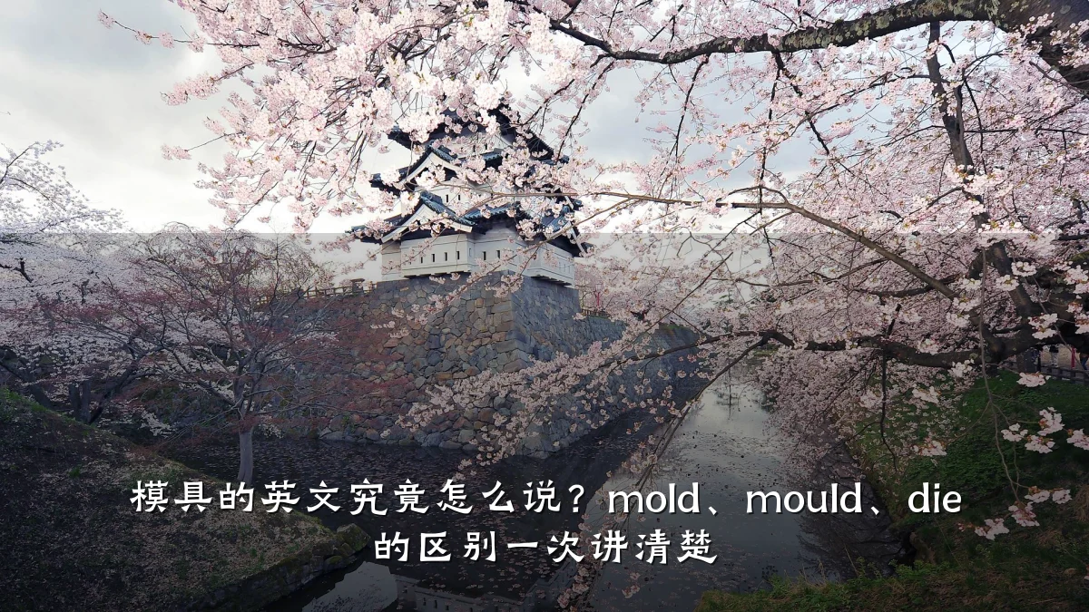 模具的英文究竟怎么说?mold、mould、die 的区别一次讲清楚