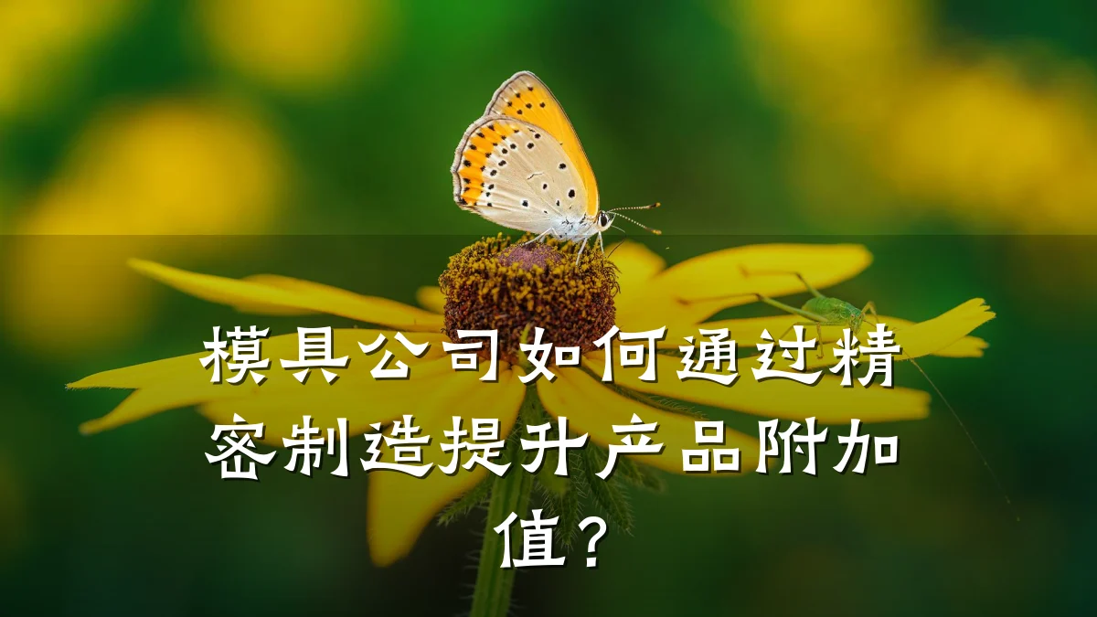 模具公司如何通过精密制造提升产品附加值?