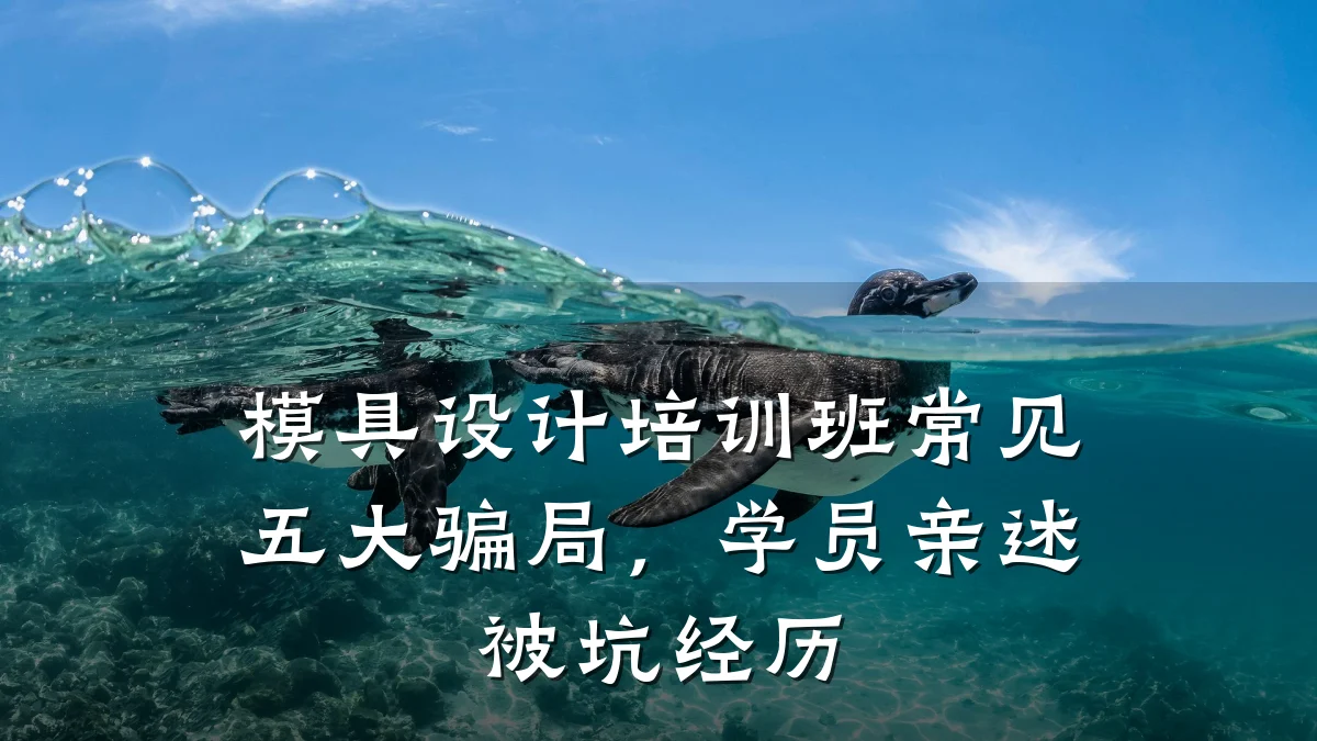 模具设计培训班常见五大骗局,学员亲述被坑经历