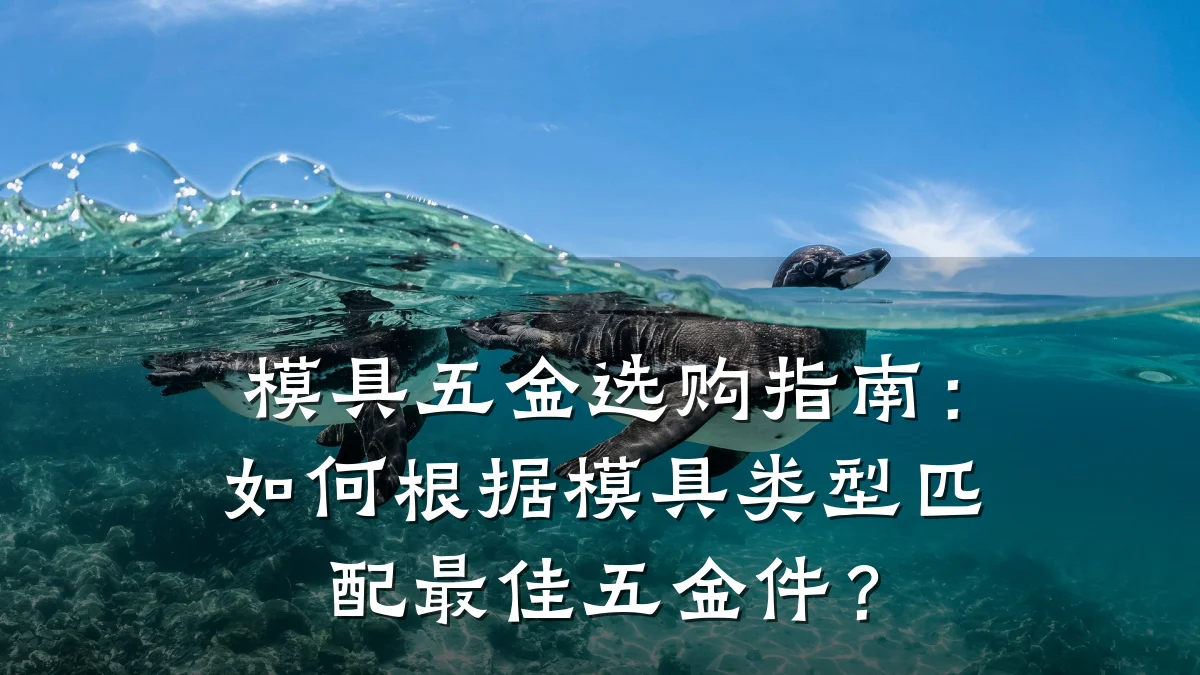 模具五金选购指南:如何根据模具类型匹配最佳五金件?