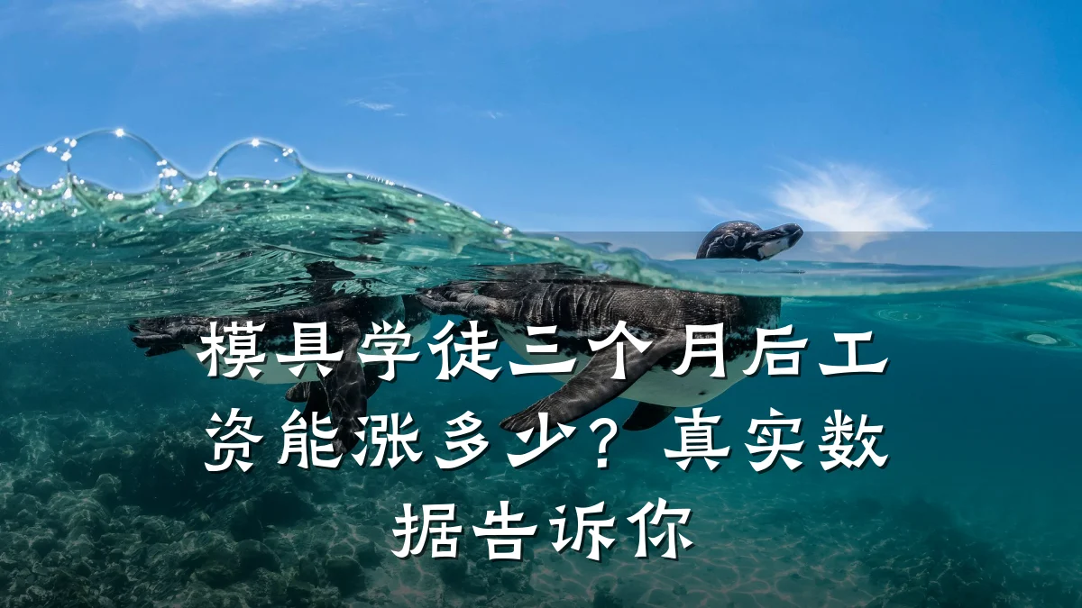 模具学徒三个月后工资能涨多少?真实数据告诉你