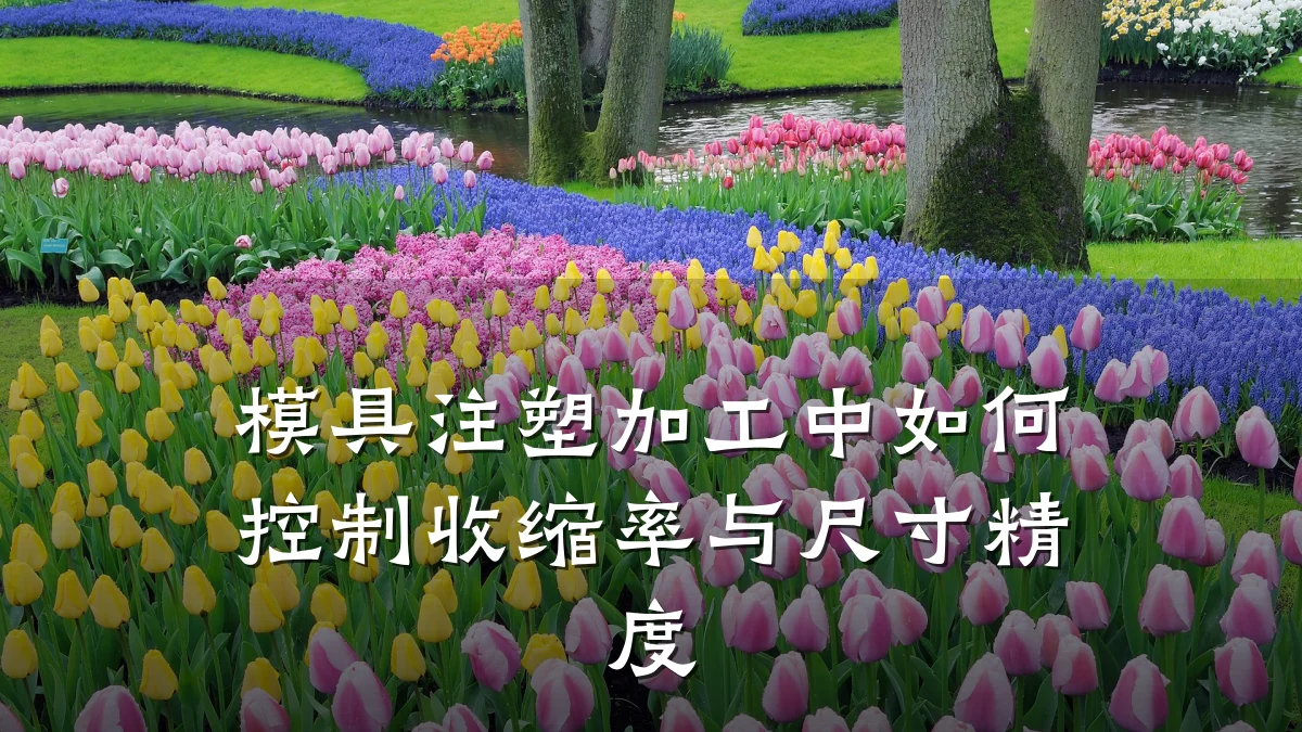 模具注塑加工中如何控制收缩率与尺寸精度