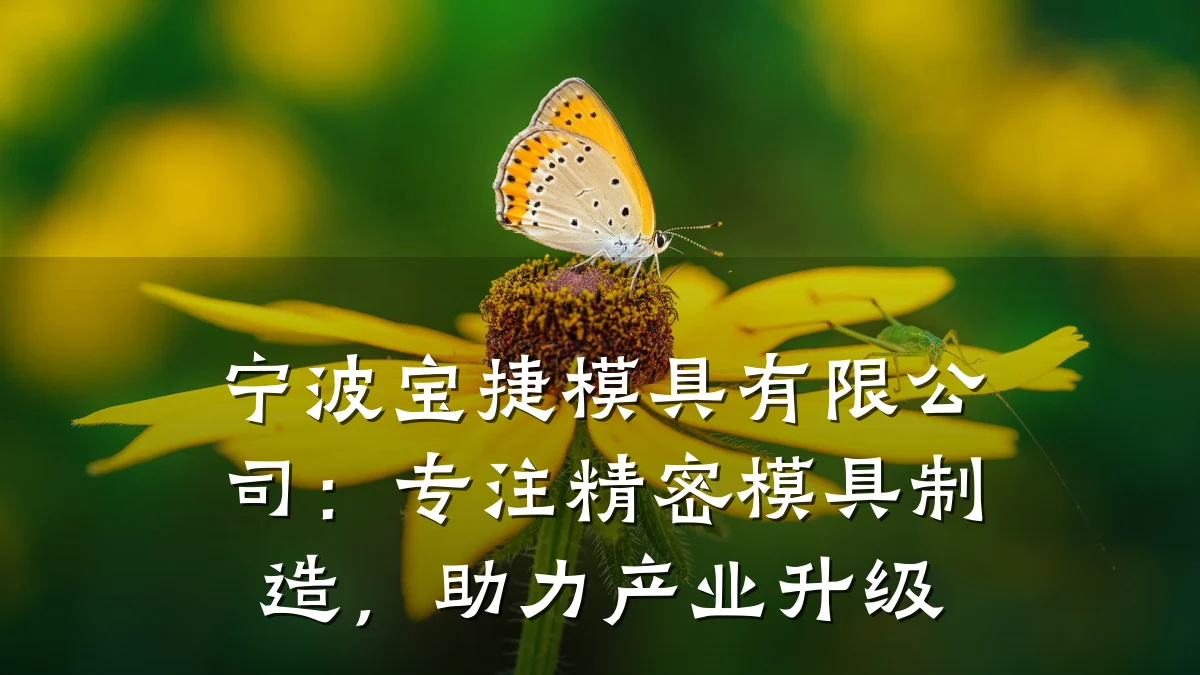 宁波宝捷模具有限公司:专注精密模具制造,助力产业升级