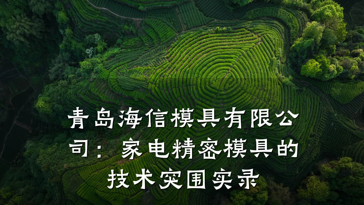 青岛海信模具有限公司:家电精密模具的技术突围实录