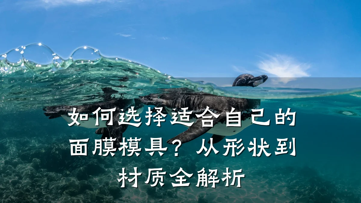 如何选择适合自己的面膜模具?从形状到材质全解析