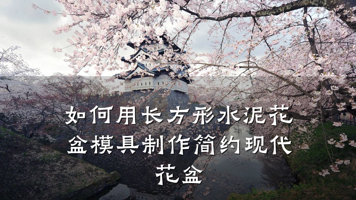如何用长方形水泥花盆模具制作简约现代花盆