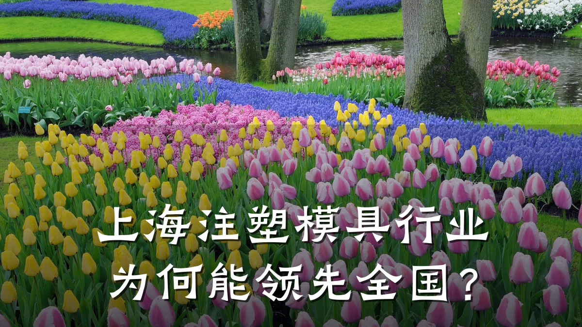 上海注塑模具行业为何能领先全国?