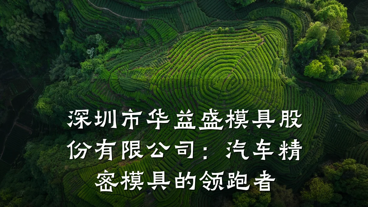 深圳市华益盛模具股份有限公司：汽车精密模具的领跑者
