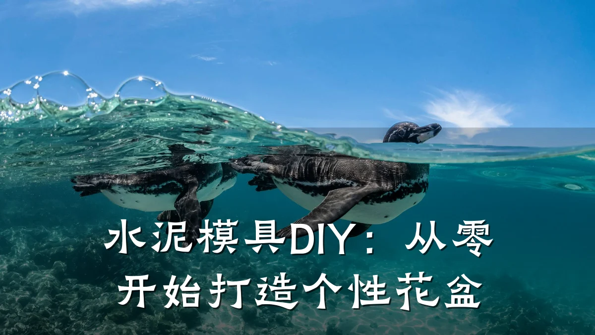 水泥模具DIY:从零开始打造个性花盆
