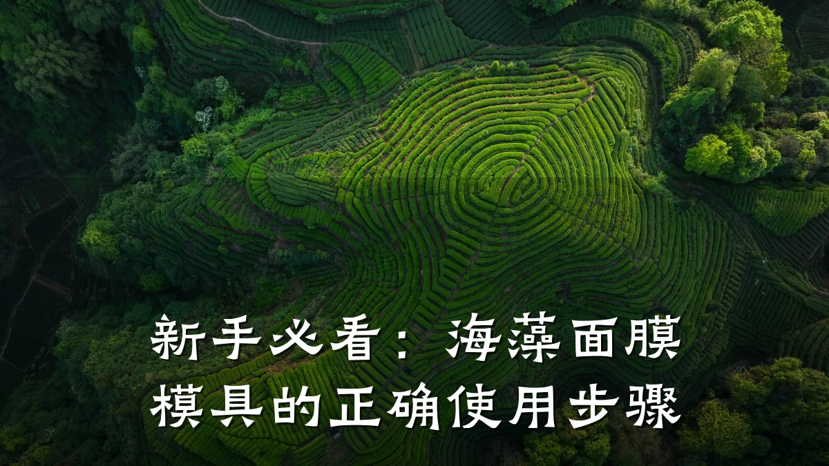 新手必看:海藻面膜模具的正确使用步骤