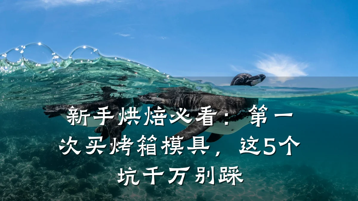 新手烘焙必看:第一次买烤箱模具,这5个坑千万别踩