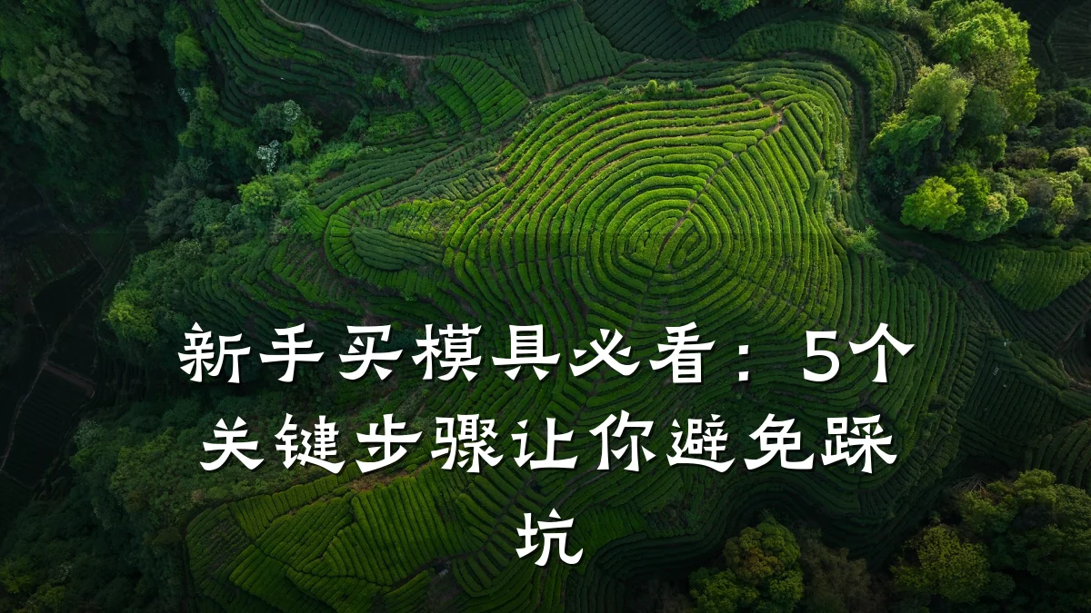 新手买模具必看:5个关键步骤让你避免踩坑