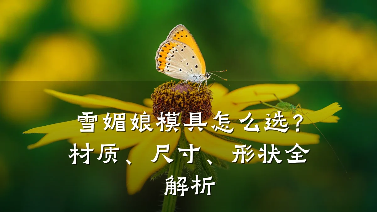 雪媚娘模具怎么选?材质、尺寸、形状全解析