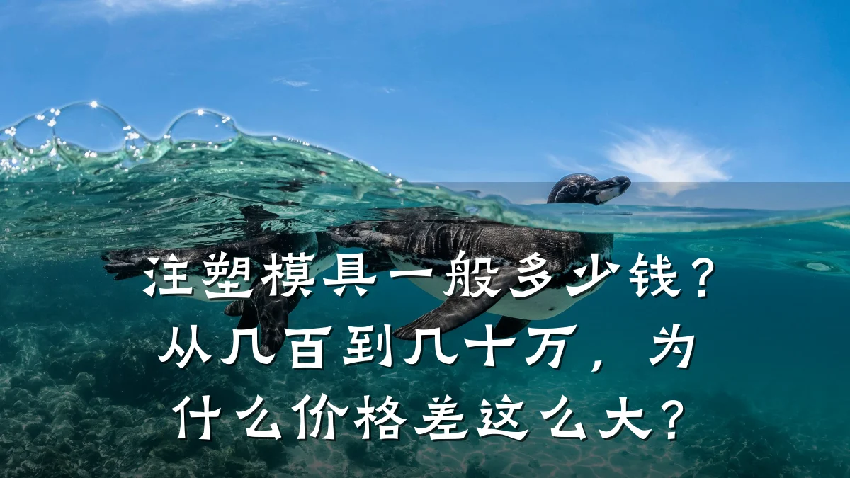 注塑模具一般多少钱?从几百到几十万,为什么价格差这么大?