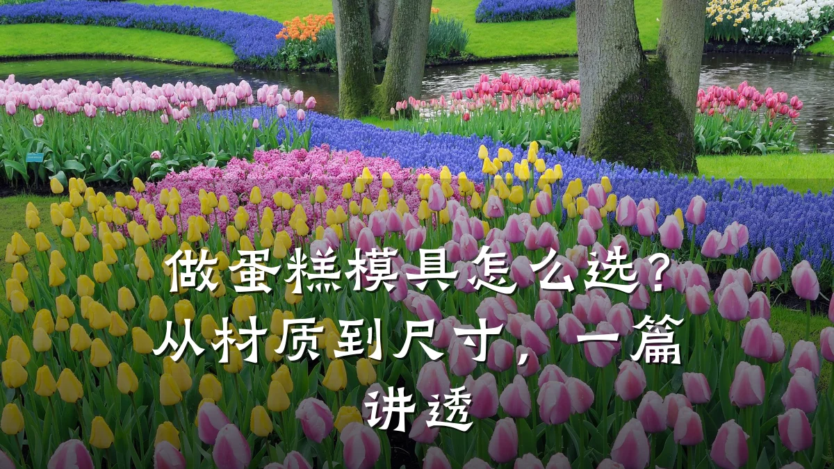 做蛋糕模具怎么选?从材质到尺寸,一篇讲透